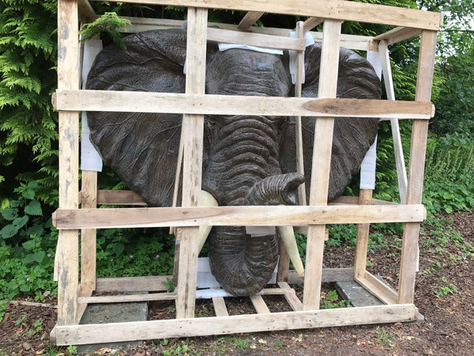 Huge Elephant Head