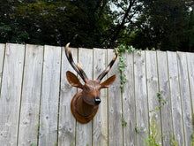 Load image into Gallery viewer, Solid Teak Wood Wall-Mounted Stag's Head