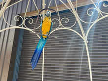 Load image into Gallery viewer, Decorative Large Hanging Parrot - Blue