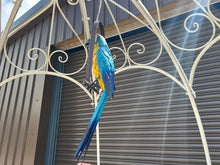 Load image into Gallery viewer, Decorative Large Hanging Parrot - Blue