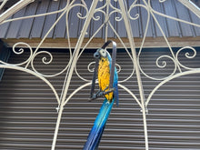 Load image into Gallery viewer, Decorative Large Hanging Parrot - Blue