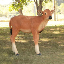 Load image into Gallery viewer, Huge Brown Cow Statue