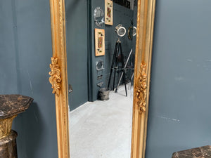 Large Louis Gold Ornate Wall Mirror