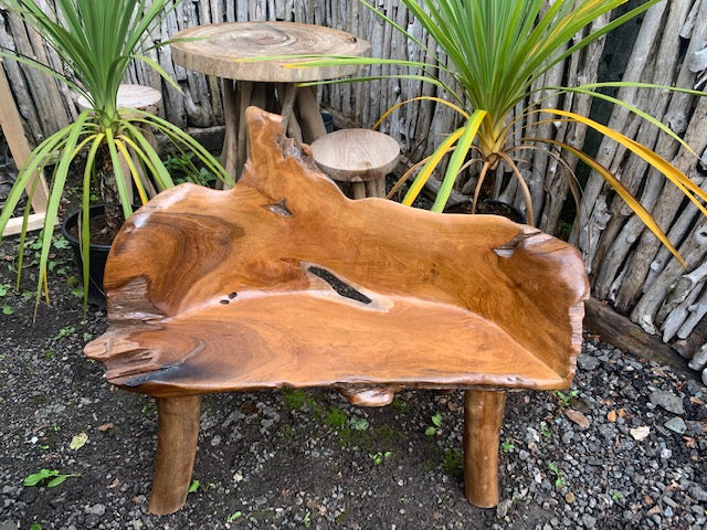 Unique Highly Polished Teak Root Wood Bench (PRE ORDER NOW - BACK IN STOCK 8 WEEKS)
