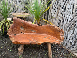 Unique Highly Polished Teak Root Wood Bench (PRE ORDER NOW - BACK IN STOCK 8 WEEKS)