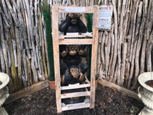 Load image into Gallery viewer, Cheeky Monkeys Statue