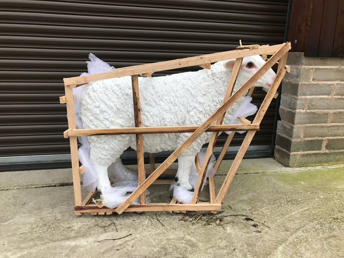 Resin Sheep (PRE-ORDER NOW BACK IN STOCK 5-6 WEEKS)