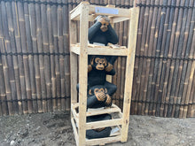Load image into Gallery viewer, Cheeky Monkeys Statue