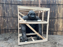 Load image into Gallery viewer, Lifesize Gorilla (PRE-ORDER NOW BACK IN STOCK 5 WEEKS)