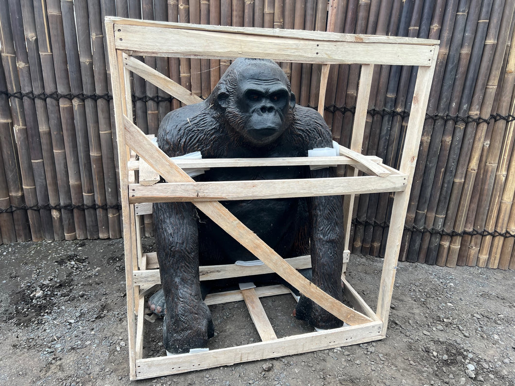 Lifesize Gorilla (PRE-ORDER NOW BACK IN STOCK 5 WEEKS)