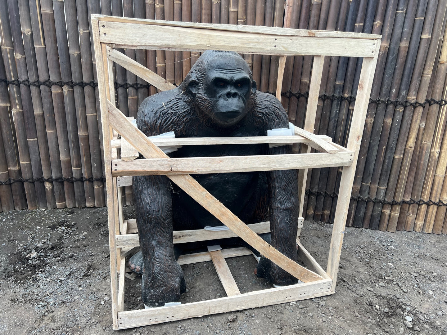 Lifesize Gorilla (PRE ORDER NOW - BACK IN STOCK 1 WEEK)