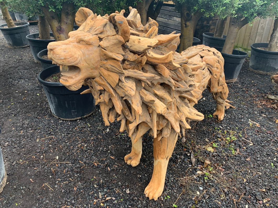 Exceptional 7ft 6 Driftwood Lion Statue