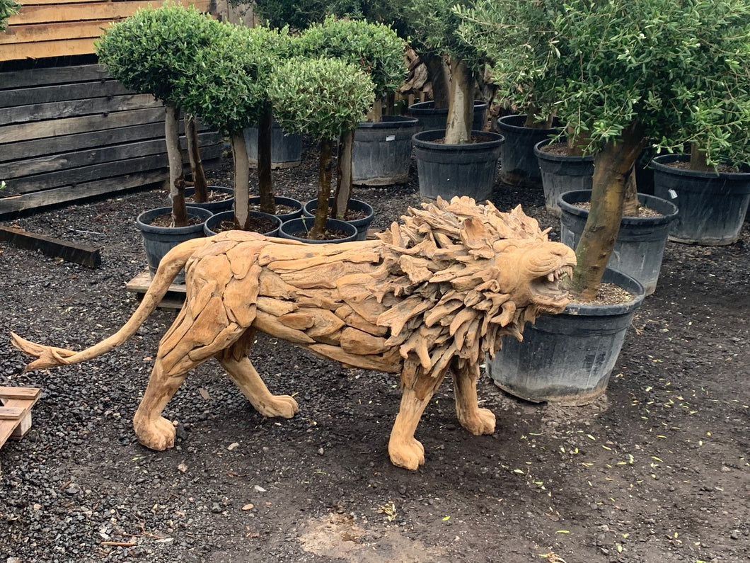 Exceptional 7ft Long Driftwood Lion