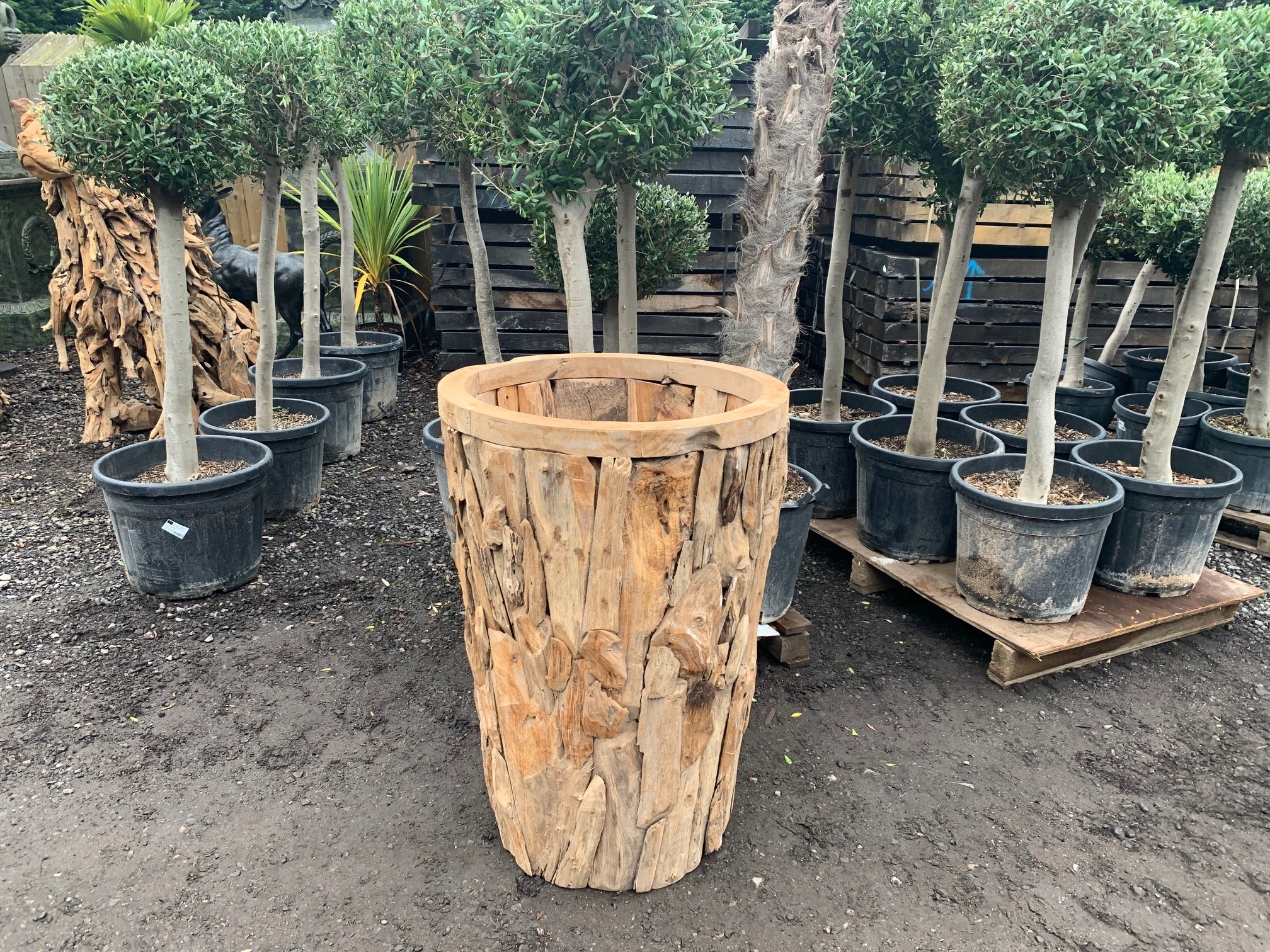 driftwood plant pot Exceptional Large Driftwood Planter Vase – John Cowell Limited