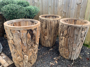 Exceptional Large Driftwood Planter Vase