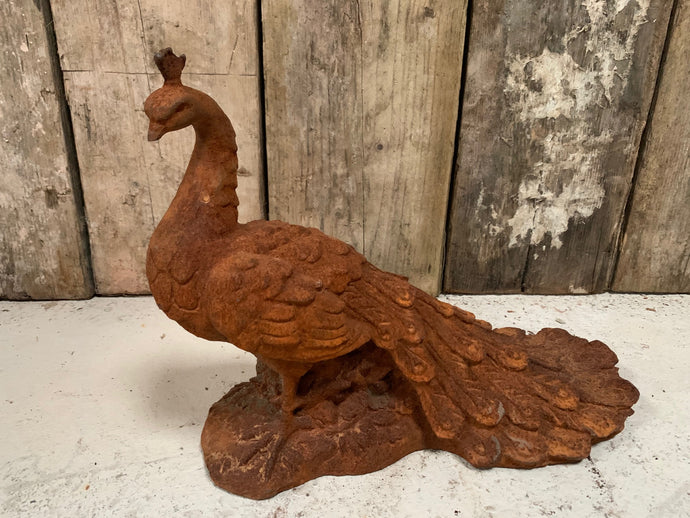 Cast Iron Rusty Peacock Statue