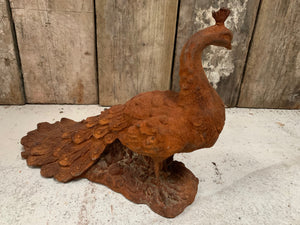 Cast Iron Rusty Peacock Statue