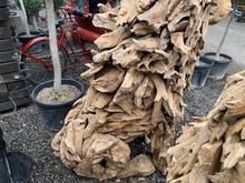 Load image into Gallery viewer, Massive Hand-Carved Driftwood Sitting Lion