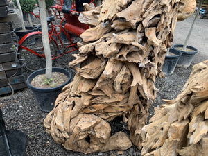 Massive Hand-Carved Driftwood Sitting Lion