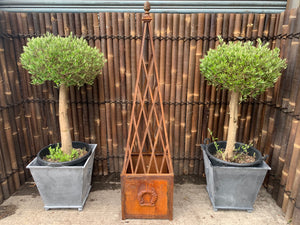 Classic Ornate Steel Planter in Lead Finish