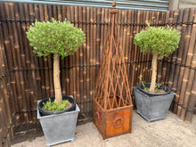 Load image into Gallery viewer, Large Metal Ornate Rusty Obelisk Planter