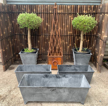 Load image into Gallery viewer, Classic Ornate Steel Planter