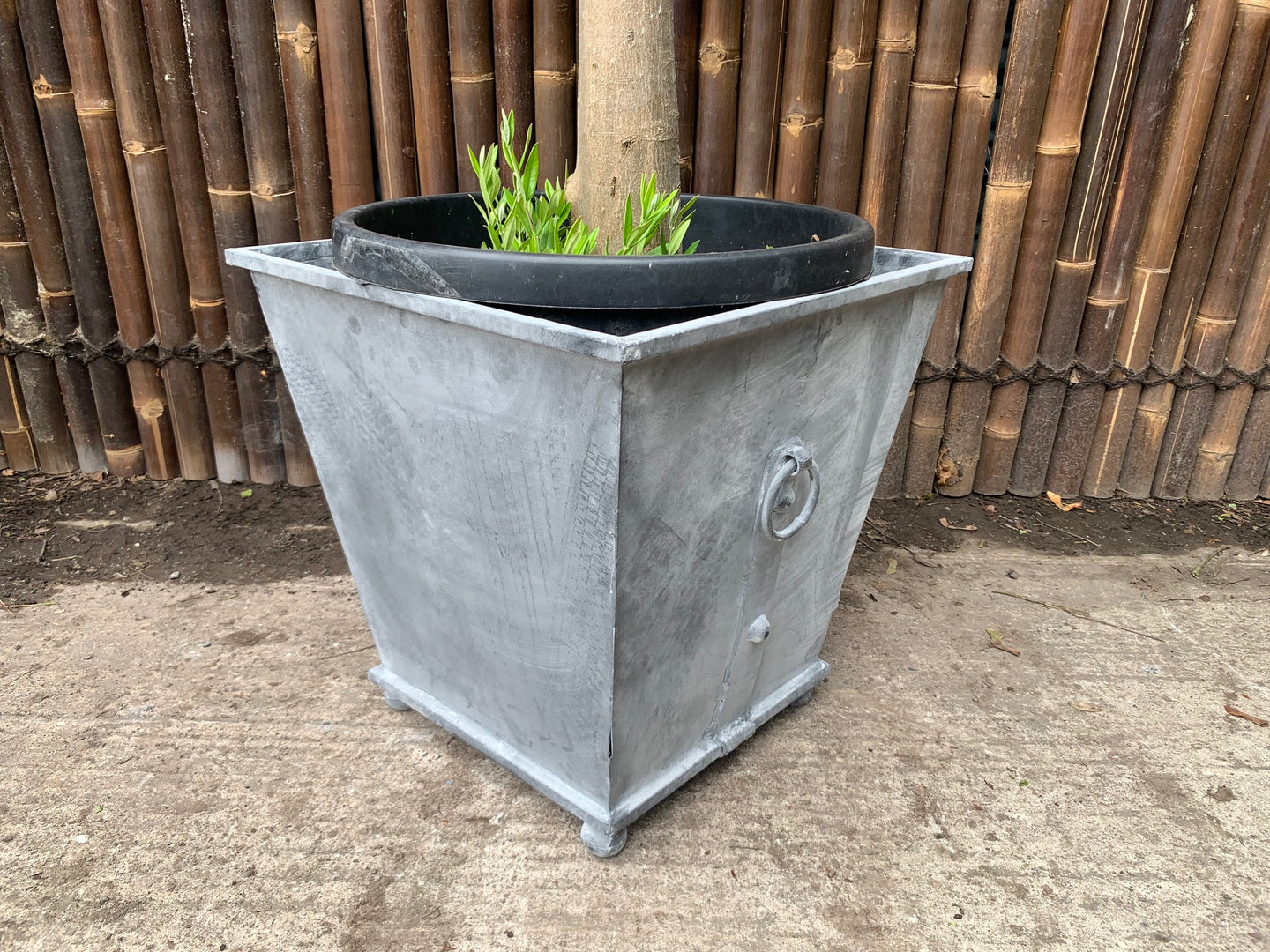 Classic Ornate Steel Planter in Lead Finish