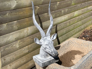 Cast Iron Antler Head in Lead Finish
