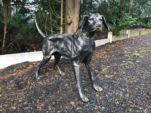 Cast Iron Dog