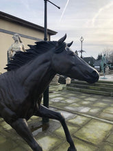 Load image into Gallery viewer, Life Size Bronze Horse Statue