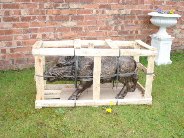 Wild Boar