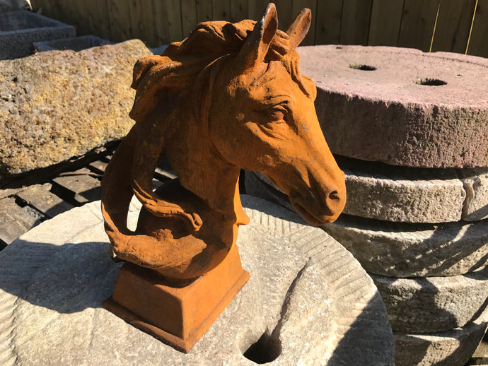 Cast Iron Horse Head