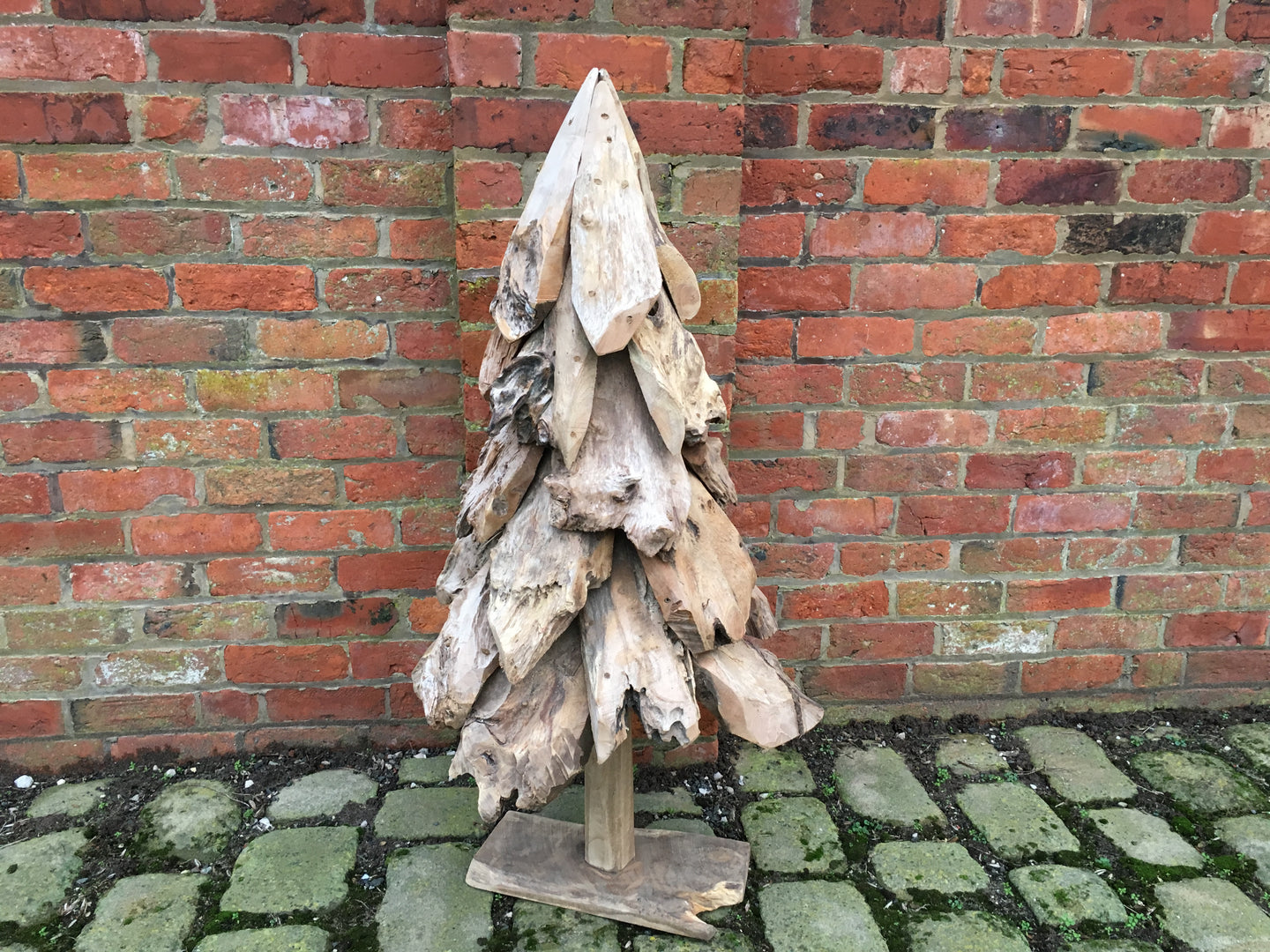 Large Teak Tree